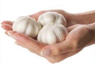 Toenail fungus treatment garlic