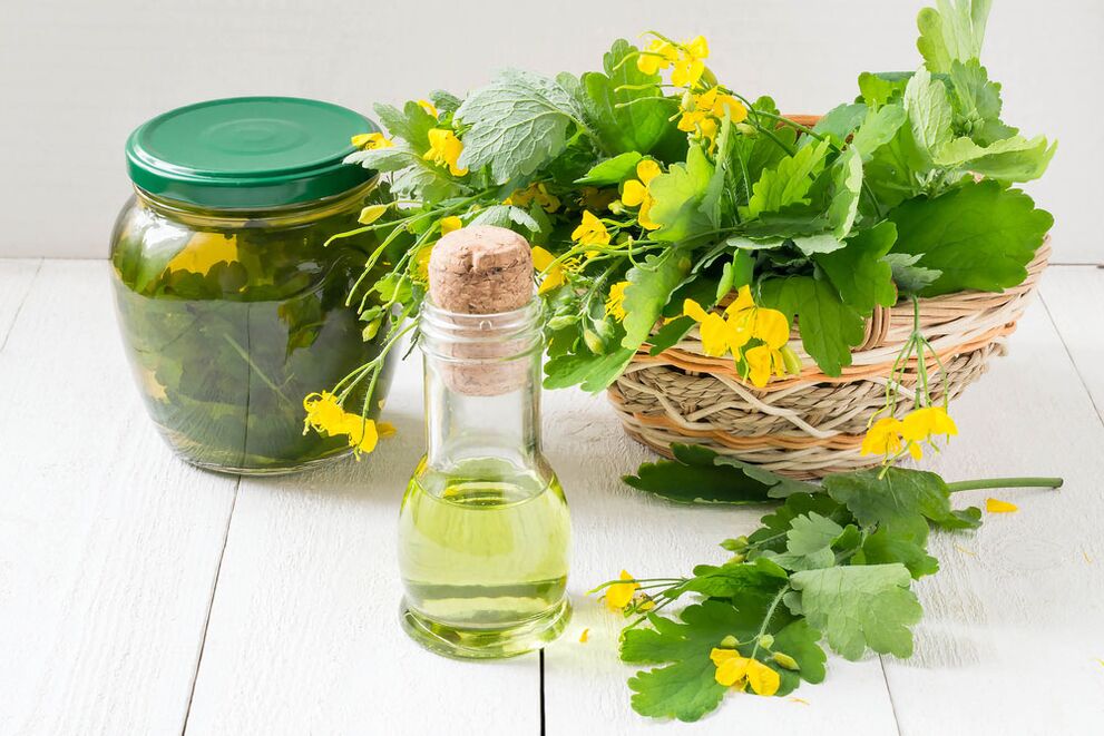 Infusion, oil and freshly picked celandine for nail fungus